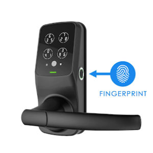 Read more about the article Fingerprint and Retinal Scan Locks